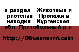  в раздел : Животные и растения » Пропажи и находки . Курганская обл.,Притобольный р-н